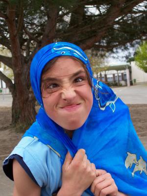 ...............................